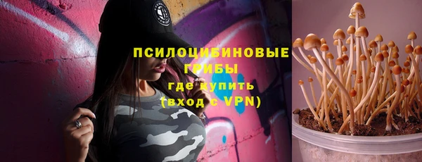 a pvp Арсеньев
