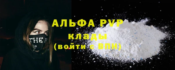 гашик Щигры
