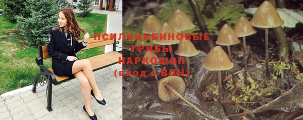 a pvp Арсеньев