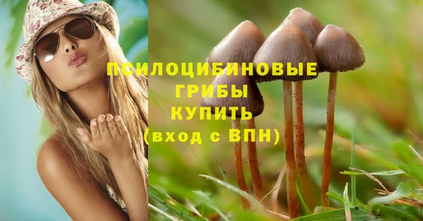 jwh Аркадак