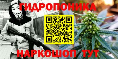 дмт Заводоуковск