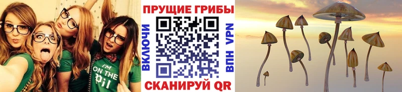 Галлюциногенные грибы ЛСД  darknet Telegram  Миасс  где найти наркотики 