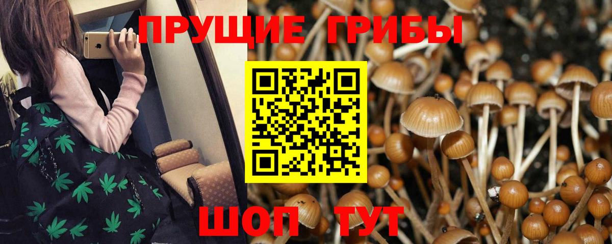 Галлюциногенные грибы Psilocybe  Вход с VPN  где найти наркотики  Миасс 
