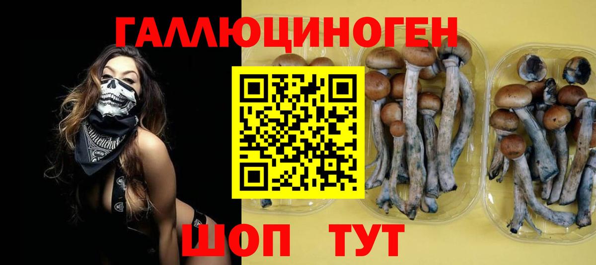 Галлюциногенные грибы Psilocybine cubensis Миасс